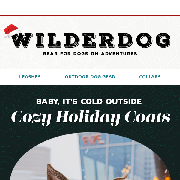 Out with ugly sweaters, in with cozy dog jackets! 🧥🐕