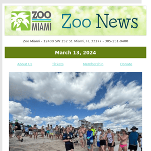 ZOO NEWS: Sea Turtle Rehab & Release