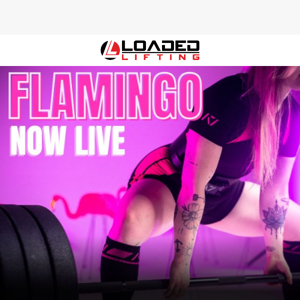 A7 Flamingo 🦩 NOW LIVE