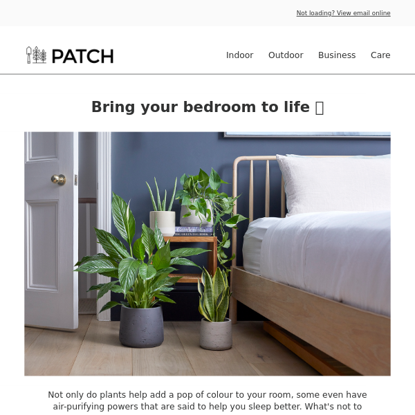 Best plants for your bedroom 💚