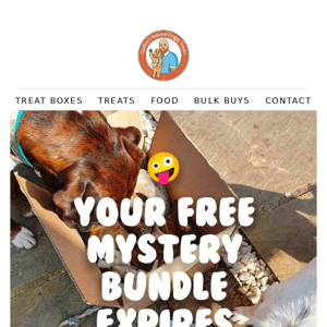 Last chance! Your free mystery bundle 👀🐾
