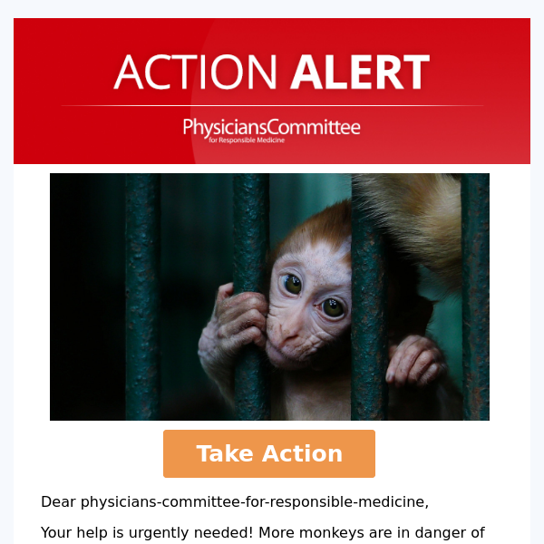Action Alert: Prevent Expansion of Primate Research