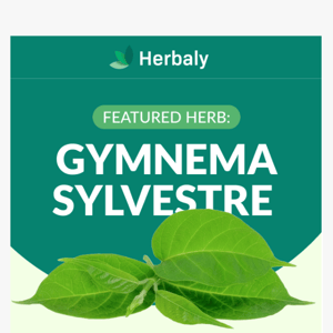 Everything we love about Gymnema Sylvestre