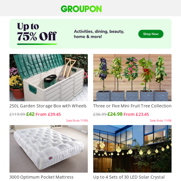 🌼 Incredible Price Drops on Home & Garden Deals! 🌿