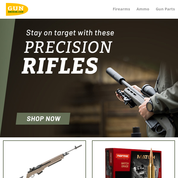 Stay on Target with these Precision Rifles