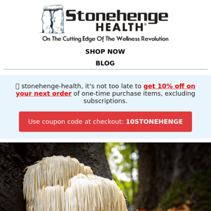 Stonehenge Health,  can a mushroom roar? 🦁 + Discount Inside