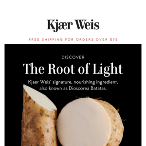 What is the Root of Light?