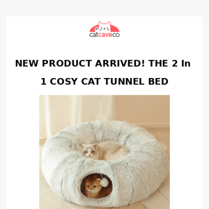 New Cat Bed Tunnel 🙀