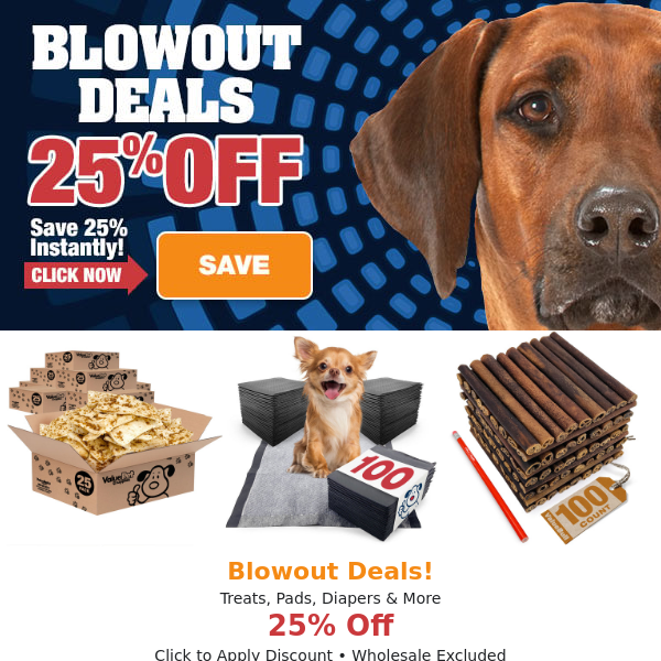 Blowouts! Save 25% Today