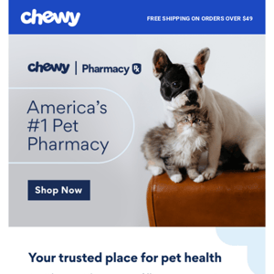 Welcome to Chewy, Chewy. Curious about Pet Wellness?