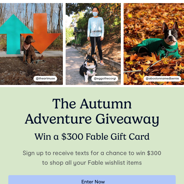 Win a $300 Fable Gift Card