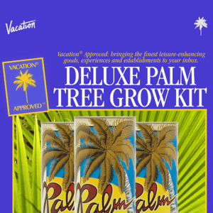 Vacation® Approved: Deluxe Palm Tree Grow Kit 🌴