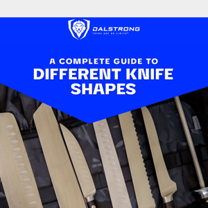 Your Complete Guide to Knife Shapes