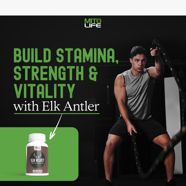 Low Energy? 🪫 Revitalize Your Energy with Elk Velvet Antler! 🔋