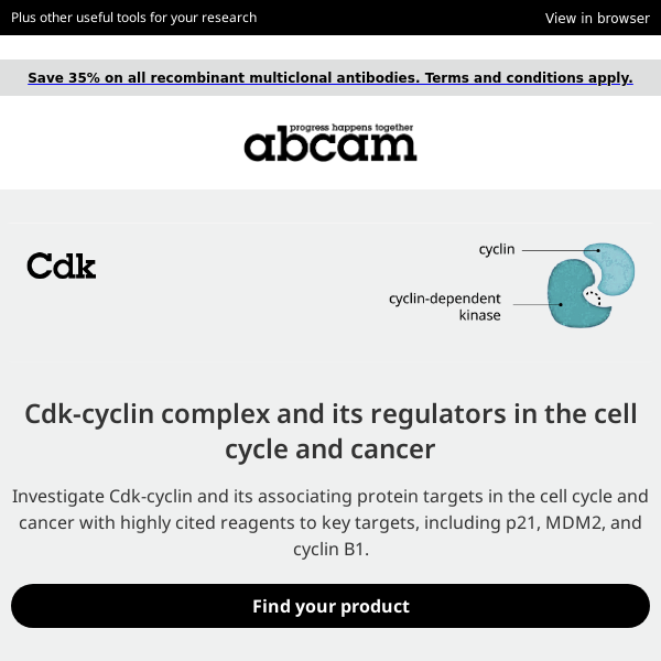 Your guide to identifying and studying Cdk-cyclin