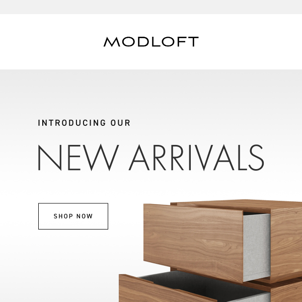 Discover What's New: Exclusive First Look at Modloft's Latest Arrivals!
