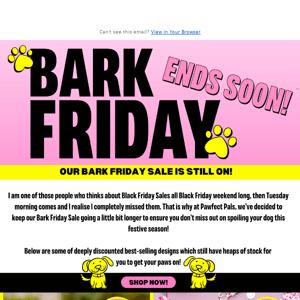 OUR FAVOURITE BARK FRIDAY DEALS! 🤩💗🎁