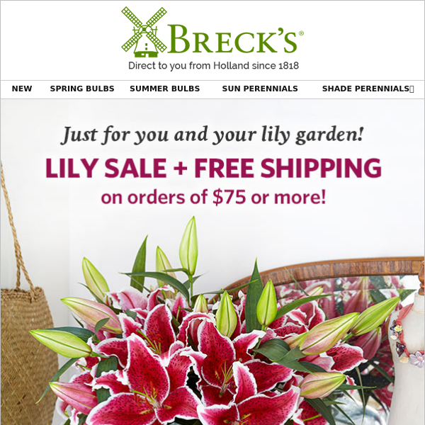 Sensational savings on lovely lilies!