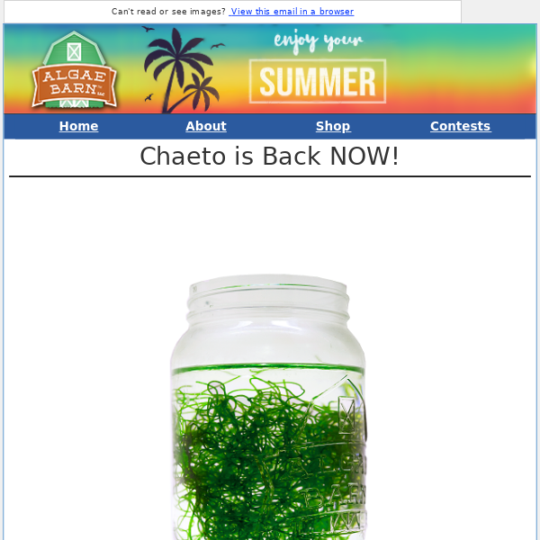 Macros Back in Stock:  🌿Get Chaeto While Supplies Last!