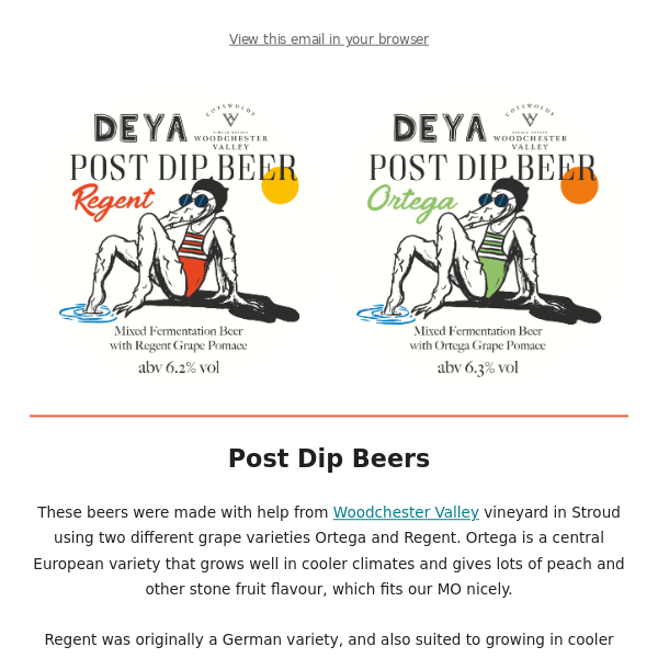 🌾🍇 Post Dip Beers 🍇🌾