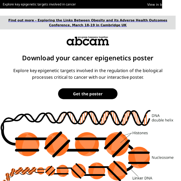 Explore the cancer epigenetics pathway