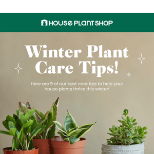 Winter plant care tips❄️🌿