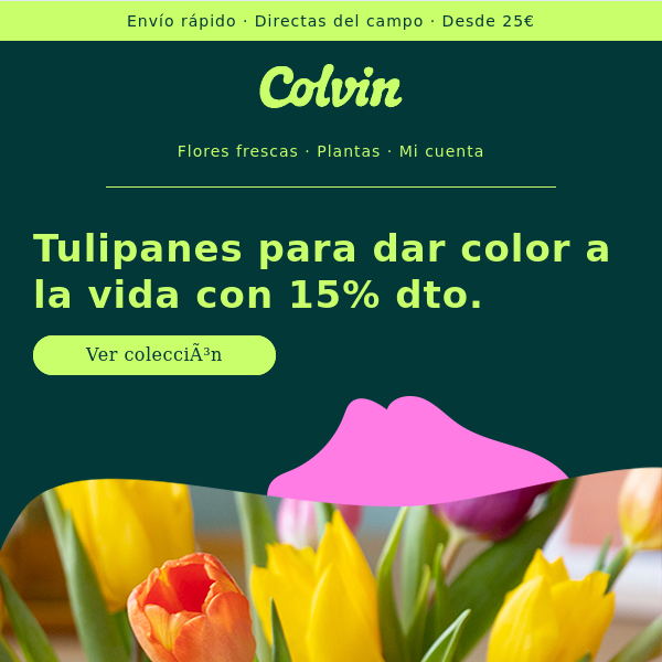 Vuelven los tulipanes 🌷 -15% para sentir su ritmo - The Colvin Co