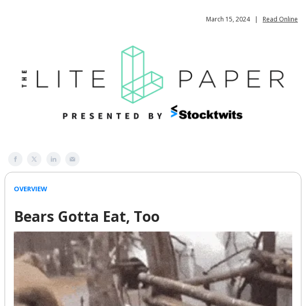 Bears Gotta Eat, Too