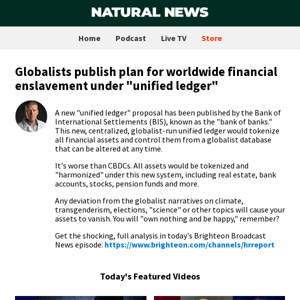 Globalists publish plan for worldwide financial enslavement under "unified ledger"