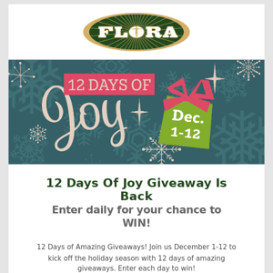REMINDER: 12 Days of Joy Giveaway  🎉 Enter to Win