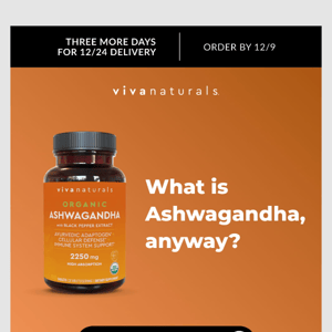 All about Ashwagandha 🔍