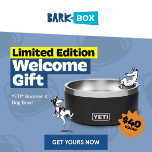 Surprise 🎉 BarkBox's YETI® Bowl is on us