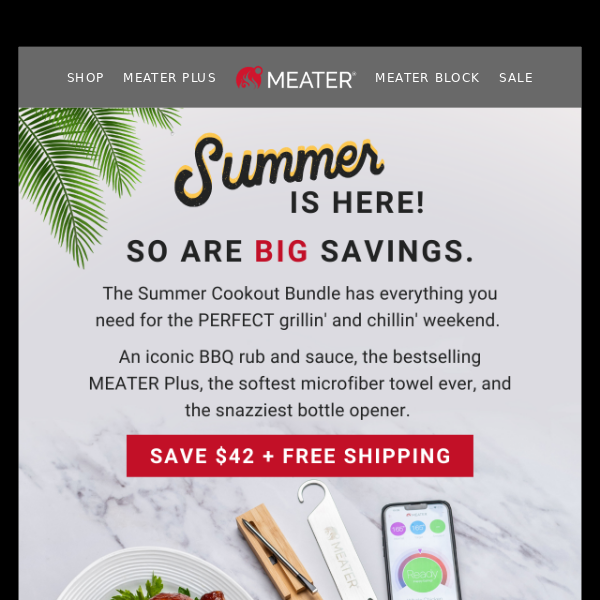 $42 Off The Summer Grilling Must-Have ☀️