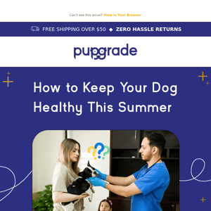 6 must-know ways to keep your dog healthy in the summer