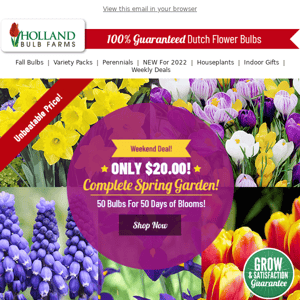 THIS WEEKEND: Complete Spring Garden ONLY $20!