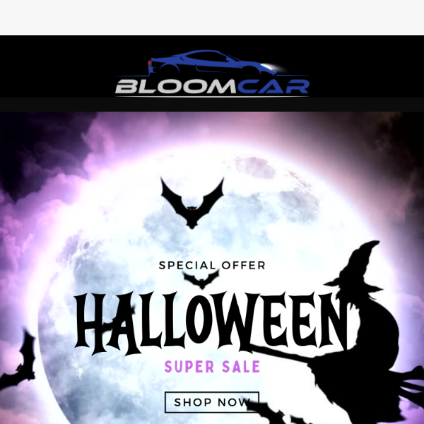 BloomCar LED Door Sill 4 PCS SET