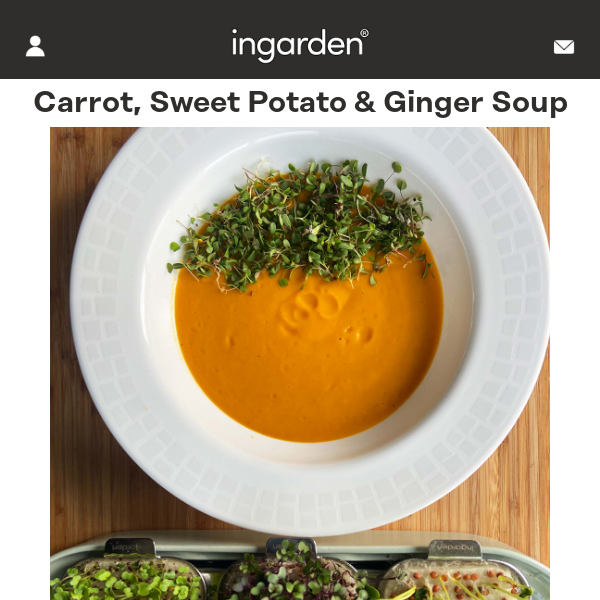 Recipe of the Week: Quick Carrot-Ginger-Sweet Potato Soup🥘