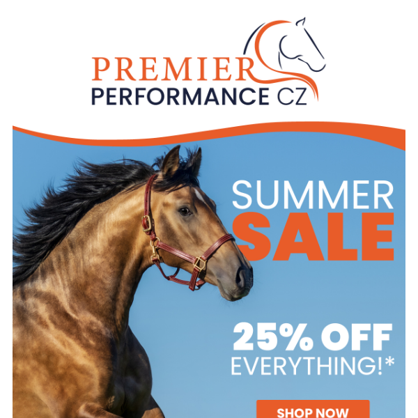 Big Summer SALE  look after the ponies and pennies!