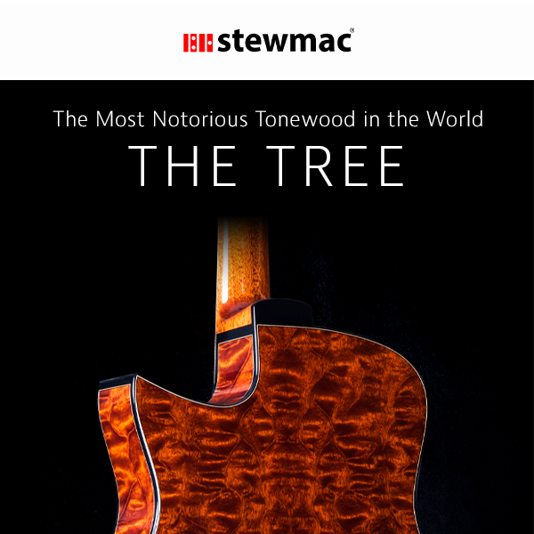 We Have THE Tree! The Most Notorious Tonewood Ever