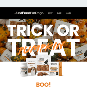 FREE Pumpkin Treats & FREE Shipping 🎃
