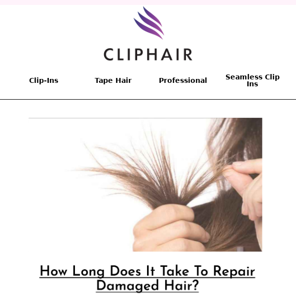 How Long Does It Take To Repair Damaged Hair? - Clip Hair