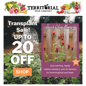 Transplants up to 20% off 💚🌸🌿