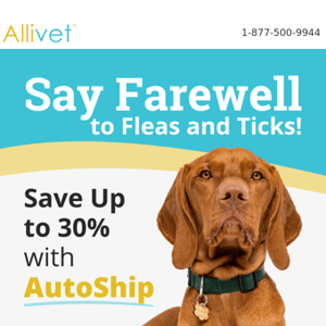 Set-it-and-Forget-It Flea & Tick Prevention