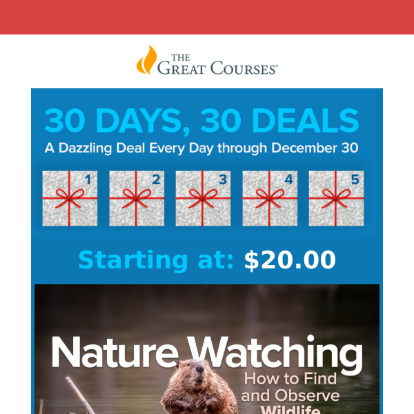Deal of the Day - Nature Watching: How to Find and Observe Wildlife