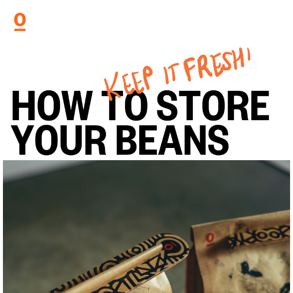 How to keep your beans happy