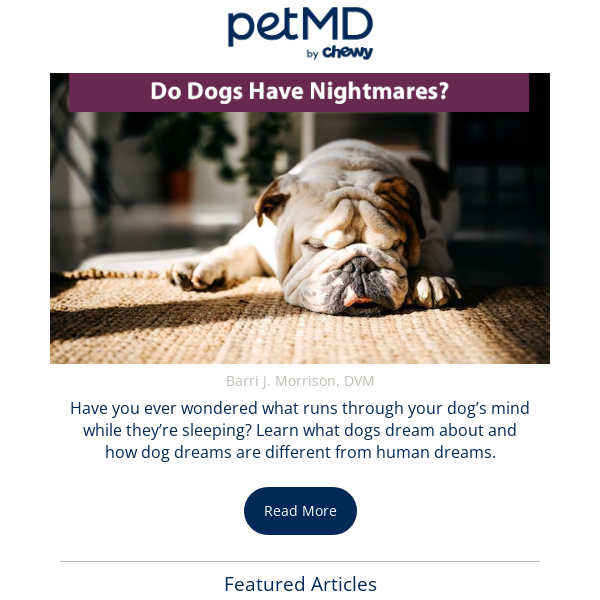 Do Dogs Have Nightmares?