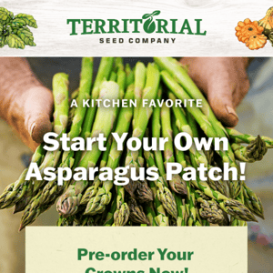 Grow your own asparagus patch! 🌱
