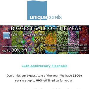 Our largest sale of the year starts now! Join us for our 11th Anniversary sale - 1600 WYSIWYG up to 80% off 2day  ﻿ ﻿ 　　