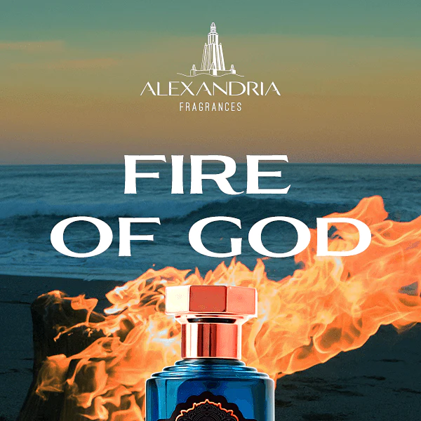 Stellar Moments by Alexandria Fragrances - A Celestial Amber Journey –  Alexandria Store LLC