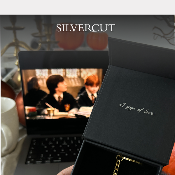 Any Harry Potter fans at Silvercut? 🧙‍♂️